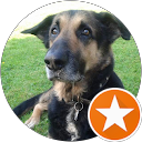 Profilbild von „Lukas“